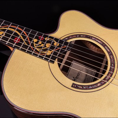 Kathy Wingert Guitars